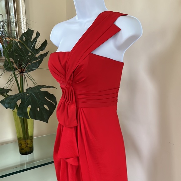BCBG Max Azria Red Dress - Picture 5 of 12